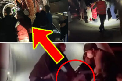Frontier Airlines Flight Turns Into Nightmare Moments Before Takeoff — One Chil-ling Detail Now Raises Serious Questions