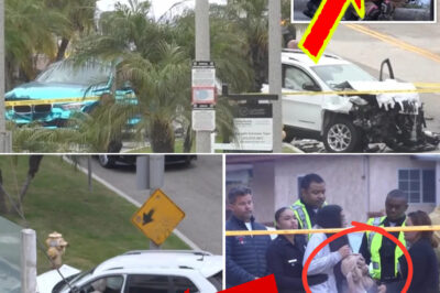 Breaking: Toddler Among V-i-ctims in De-a-dly Playa Del Rey Cr-a-sh — New Clue Emerges About Fleeing Driver’s Car