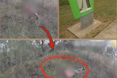 TERRIFIED SCENES — YOUNG FATHER ALLEGEDLY STABBED DURING FAMILY WALK AFTER STRANGER PULLED KNIFE..!