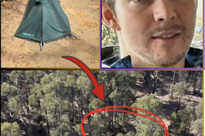 HE MIGHT BE IN CRITICAL CONDITION.. – DESPERATE SEARCH UNDERWAY FOR MISSING HIKER AFTER TENT FOUND IN WA BUSHLAND!