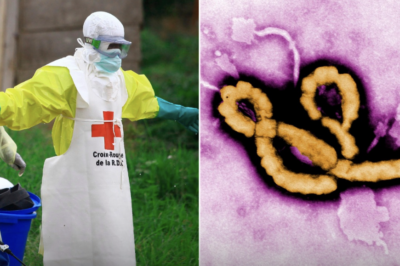 NO TREATMENT OR CURE YET..! – The World Health Organisation has declared the latest Ebola outbreak an international health emergency as the d-e:adly virus continues spreading and k-i:ll dozens.