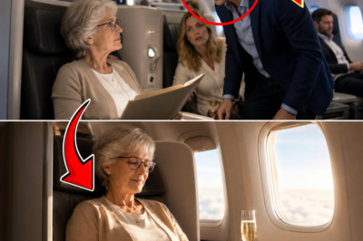My Son Put Me In Economy While He Flew First Class—But He Went Pale When He Saw What Was Inside The Folder I Opened Mid-Flight