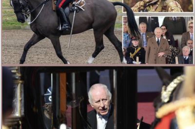 JUST MINS AGO: KING CHARLES has reportedly made a shocking move following the tragic d3ath of a service person connected to the Royal Windsor Horse Show.