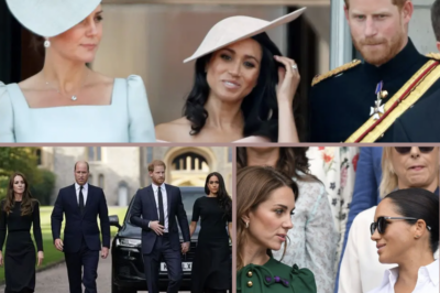 MEGHAN WAS THE REASON EVERYTHING CHANGED… — Princess Kate’s reported “deal-breaker” with Prince Harry and Meghan is once again under the spotlight, with royal insiders claiming it may have helped send the brothers down completely different paths.
