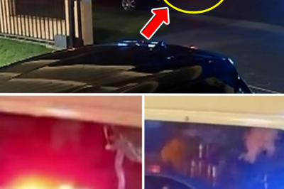 A Terrifying Midnight Gu.nsh0.t: Ute Driver ‘Dragged’ From His Vehicle, Health Condition After Torture Ordeal Leaves Everyone in Total Shock!