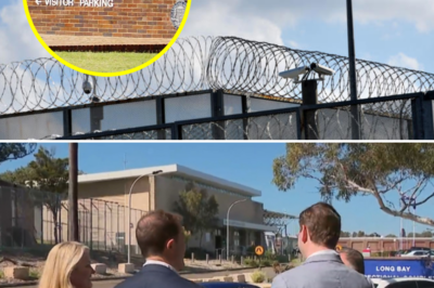 “I can’t sleep, I can’t eat”: The tragedy of a stage 4 cancer mother whose “lifeline” is being severed by unexplained visit cancellations at NSW prisons