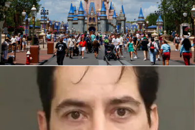 Farewell Mickey Mouse: Dad hit with “Lifetime Ban” from Disney World over one minute of losing control!