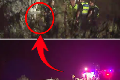 “Someone in the prime of their life… has lost their life”: Heartbreaking tribute to the woman k!:lled in the bus rollover leaves all of Australia in mourning