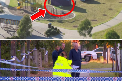 Identification of the b0.dy of the man found at the park in Tarneit confirmed