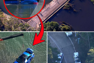 B0.dy of male passenger recovered after car found submerged in Royal National Park — Secrets of a mysterious second vehicle revealed!