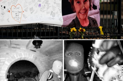100 Days of Desperate Disappearance: Police Speak Out to Clear Nancy Guthrie’s Family of All Suspicions