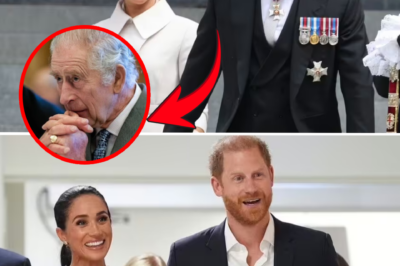 Backed Into A Corner, Harry “Sets Conditions” For His Father: Meghan Must Be Treated Like A VIP Before Agreeing To Return Home?