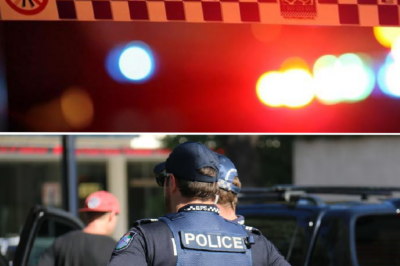 B0.dy found in car in Melbourne: Victim yet to be formally identified