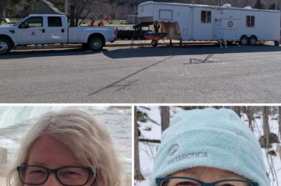 Authorities are searching for Denise Ann Williams after she disappeared while hiking in Nova Scotia