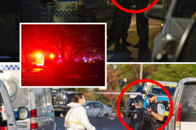 “HEARTBREAKING UPDATE 😢” — Man Charged After “Exceptionally Vi0:lent” Murd:3r in Sydney