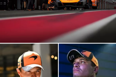 Lando Norris has revealed he’s setting his sights beyond Formula 1 — with a future drive at the legendary 24 Hours of Le Mans firmly on his radar.
