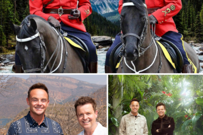 SPIN-OFF SHAKE-UP — I’m A Celebrity tipped for wild new series with surprise twist