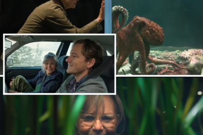 “IF YOU WATCH THIS… YOU MIGHT FORGET THE MAIN CHARACTER ISN’T HUMAN.” — A CGI octopus is stealing the spotlight