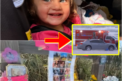 A LIGHT OF ANYBODY’S DAY… — HEARTBROKEN FATHER SPEAKS OUT AFTER HIS 22-MONTH-OLD DAUGHTER DI-ES ON THE BEACH, AS THE COMMUNITY IS LEFT IN TEARS OVER THE DEVASTATING TRAG-EDY…