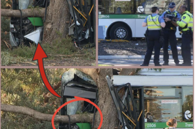 HE NEVER MADE IT HOME…  — A man in his 60s has tragically d!ed after a bus reportedly veered onto the wrong side of the road and crashed into a tree in Wanneroo, in Perth’s north.