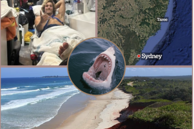 I THOUGHT I WAS GOING TO D!E..!  — A surfer has revealed the terrifying moments he was bitten by a shark and dragged underwater during a horror attack at a NSW beach.