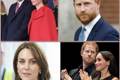 PRINCE HARRY’S ‘COLD’ MOVE TOWARDS PRINCESS KATE WAS THE FINAL NAIL IN THE COFFIN FOR WILLIAM..?