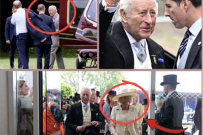 THE TRUTH BEHIND WHY CHARLES AND CAMILLA SKIPPED THE WEDDING RECEPTION AND FLEW OFF BY HELICOPTER