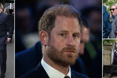 JUST MINS AGO: HARRY MADE SHOCKING MOVE WHILE PETER PHILLIPS’ WEDDING WAS UNDERWAY!