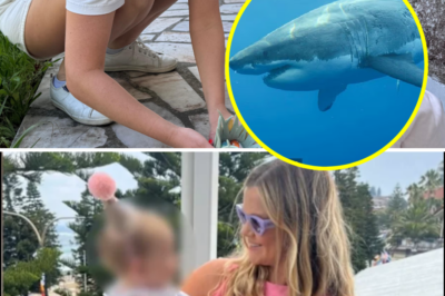 From a “perfect sunrise” to a bl00dy nightmare: Chilling revelations from Coogee locals