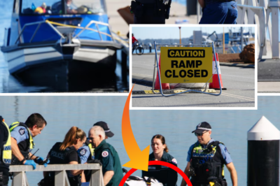 A diver has tragically d!3d after a suspected 4.5m shark attack off the coast of Albany — sending shockwaves through the local community