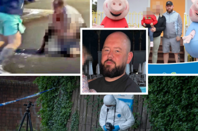 A brave passerby is being hailed a hero after stepping in during a terrifying attack in Belfast — and the moment is leaving people stunned
