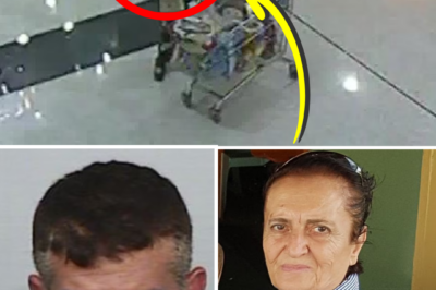 “TRAGIC DISCOVERY” MYSTERY ENDS — R3ma!ns found in long search for missing Sydney woman
