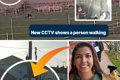 The heartbroken sister of a missing Brazilian woman has issued an emotional appeal — 100 days after she disappeared without a trace