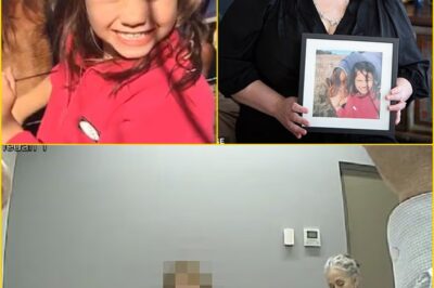 AS BIDDY PORTER’S PARENTS BREAK THEIR SILENCE, CHILLING NEW EVIDENCE RAISES QUESTIONS ABOUT WHAT WAS MISSED BEFORE THE TRAGEDY