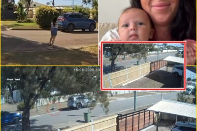 A BABY, A STOLEN CAR AND A MIDNIGHT MANHUNT — NEW FOOTAGE REVEALS THE INCREDIBLE TWIST NOBODY SAW COMING