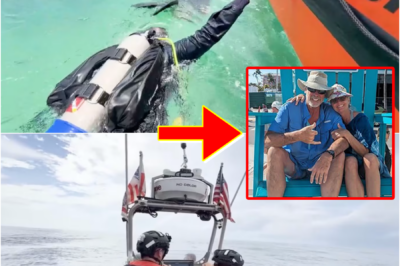 🚨 U.S. COAST GUARD ISSUES NEW UPDATE ON SEARCH FOR LYNETTE HOOKER IN THE BAHAMAS — A NOTABLE DETAIL HAS DRAWN EVERYONE’S ATTENTION…