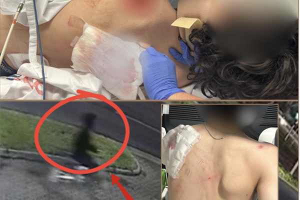 K:I-LL HIM..! – CHILLING MOMENT A TEENAGER WAS ALLEGEDLY STABBED...